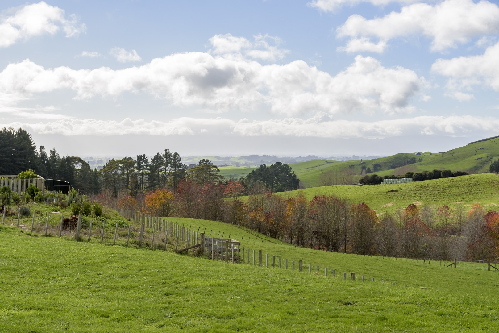 RBPR006535 - Image 3