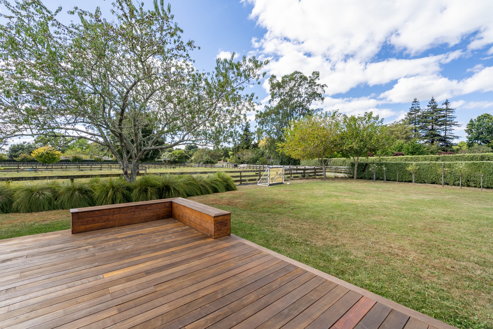 RBPR006705 - Image 4
