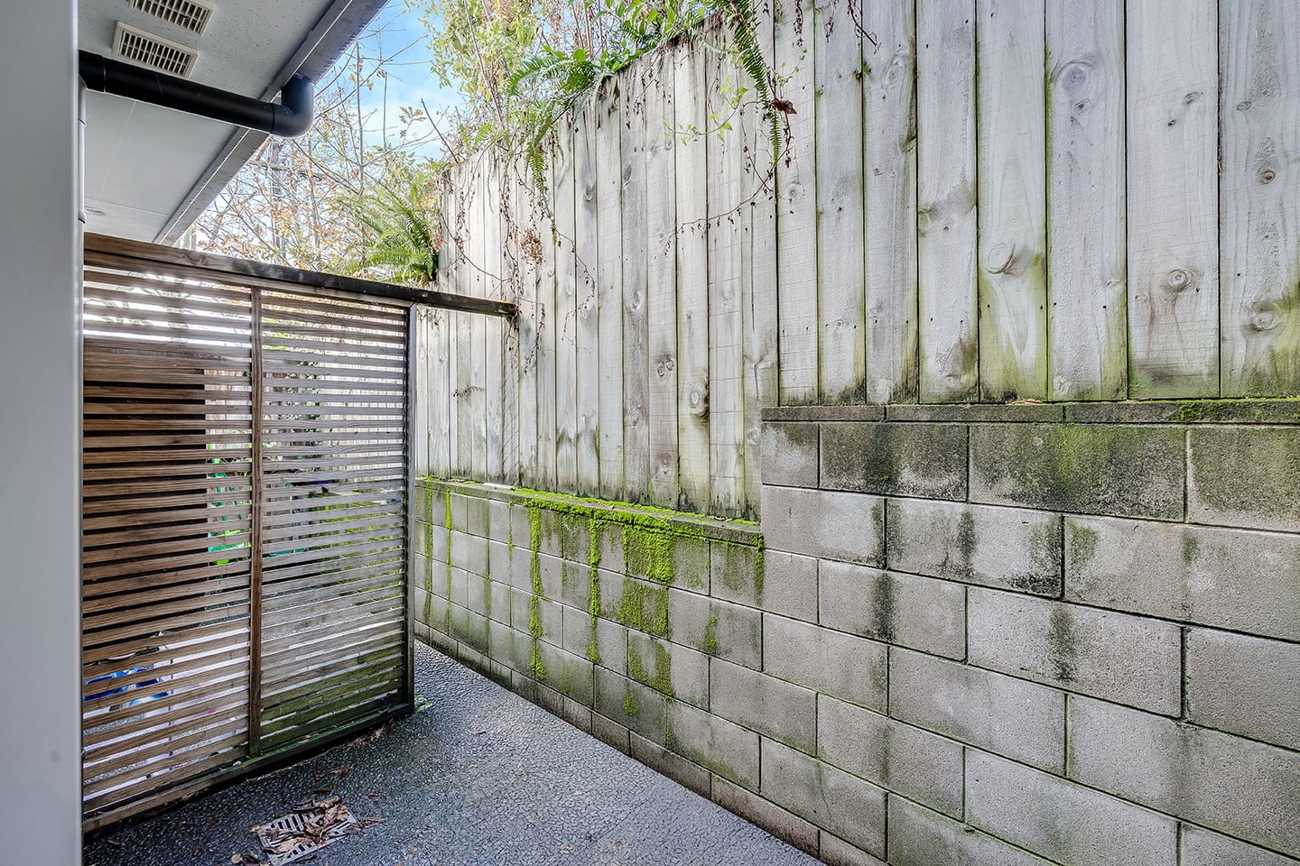 RBPR006784 - Image 9