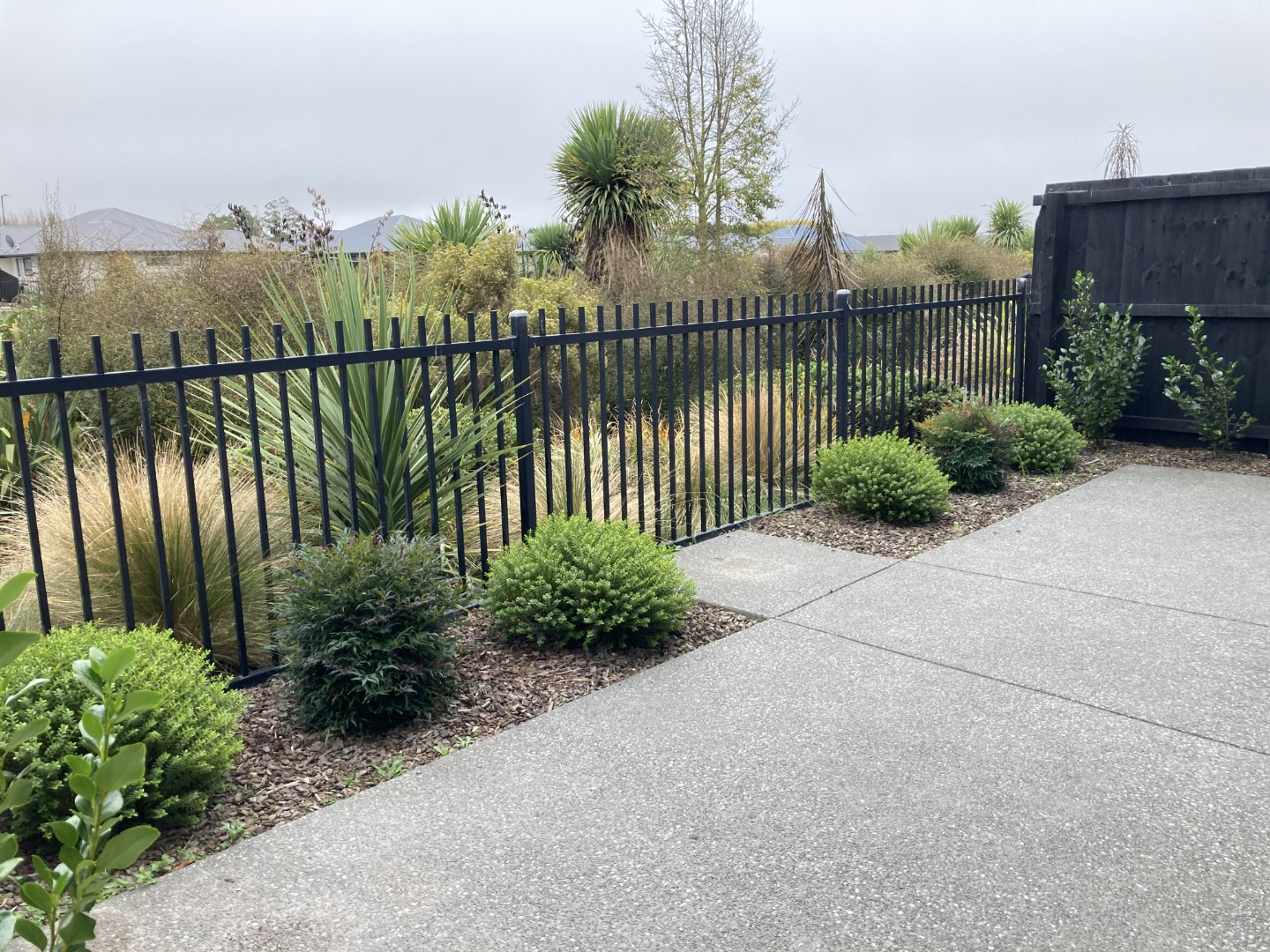 5 Bellbird ext back 2MG_0799