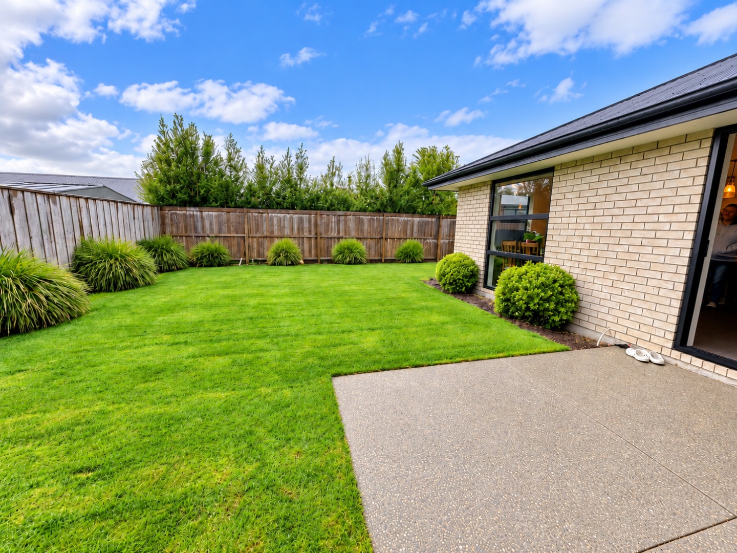 Dry Patio Suburban Backyard