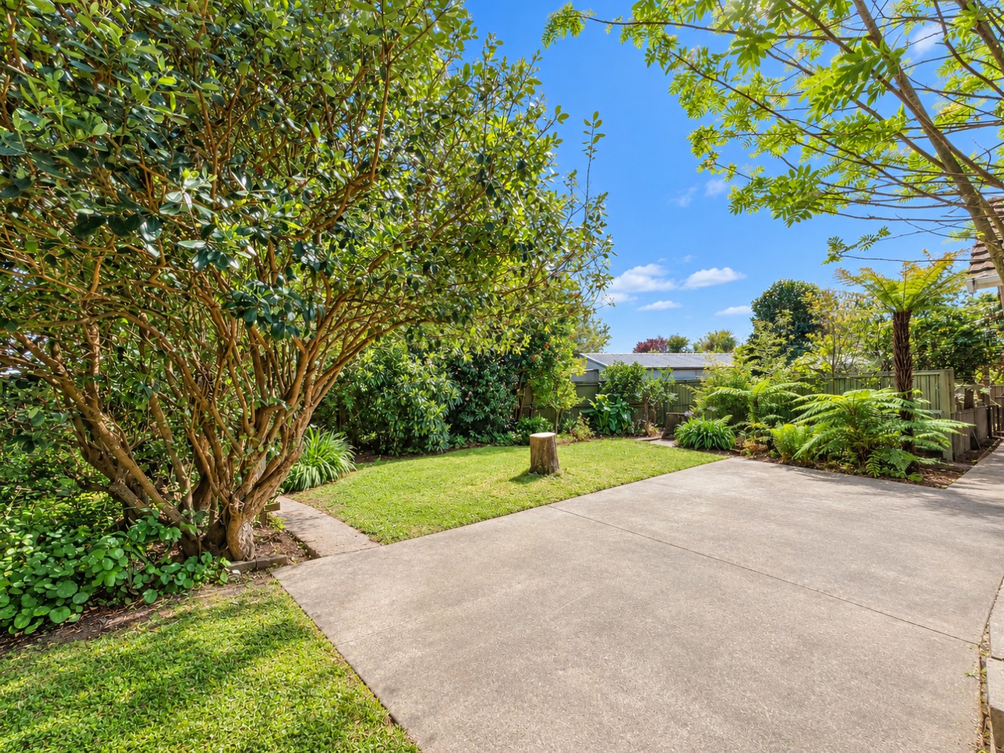 Sunny Suburban Garden and Driveway