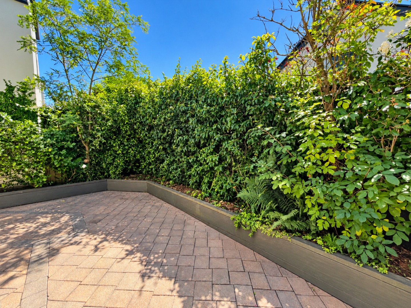 Sunlit Patio Garden Corner