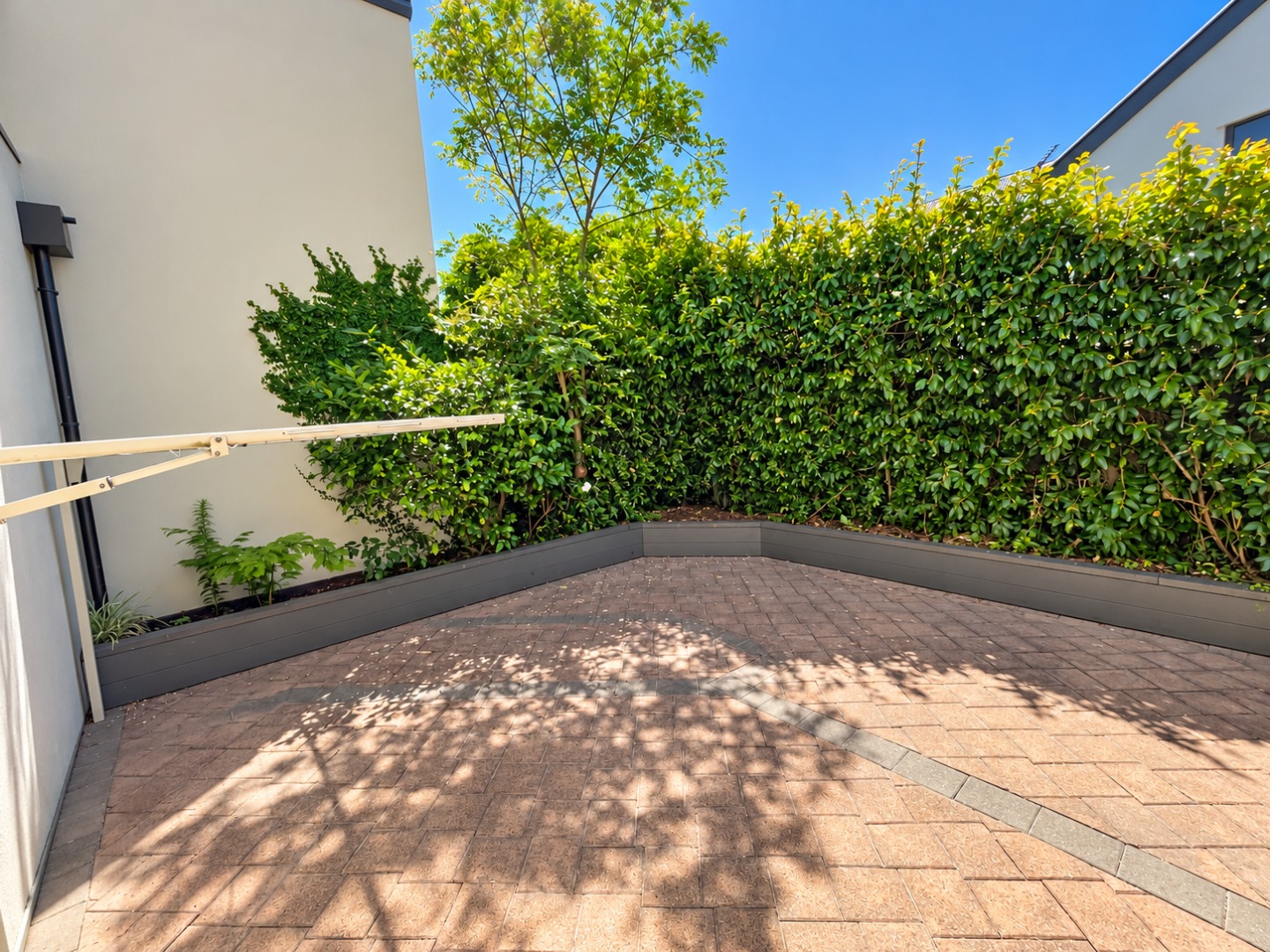 Sunny Modern Courtyard with Lush Hedge